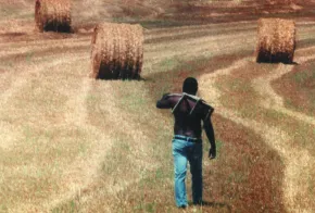 AL PRIMO SOFFIO DI VENTO
