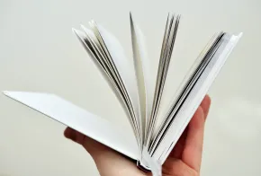 Libros al viento