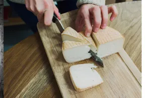 Zanfona, Cheese & Tea