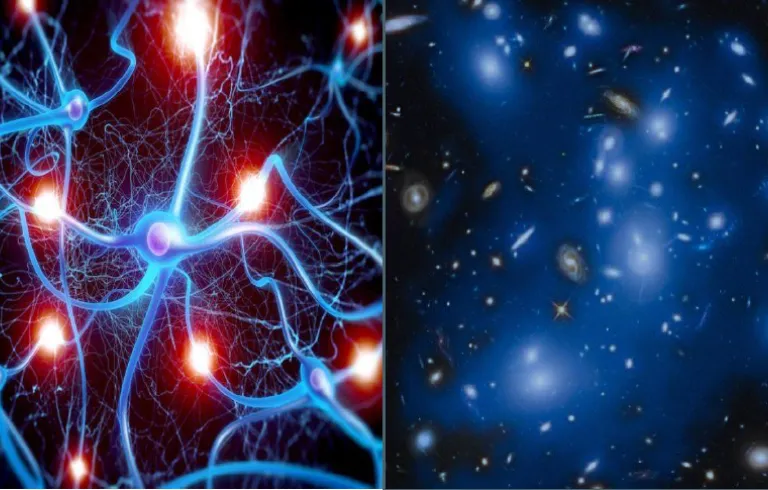 Cerebro y universo