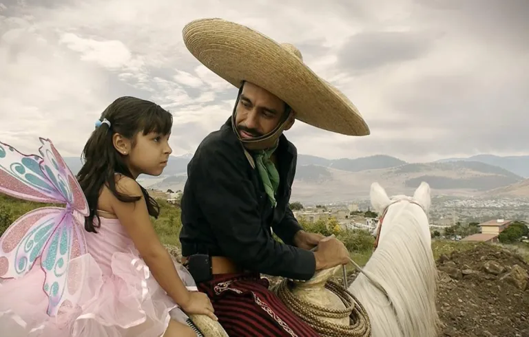EL CHARRO DE TOLUQUILLA